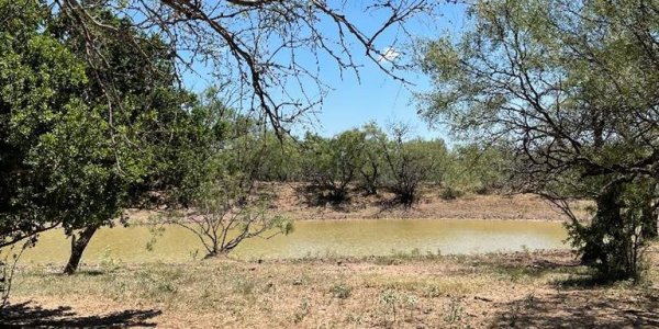Listing image 105496-0