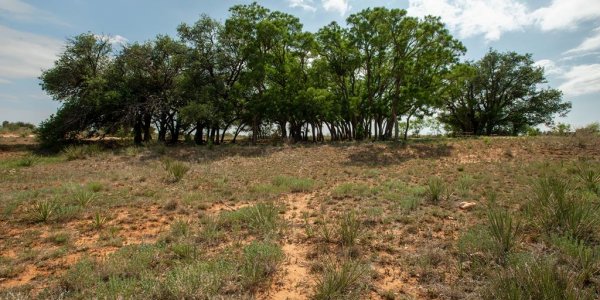 Listing image 108367-0