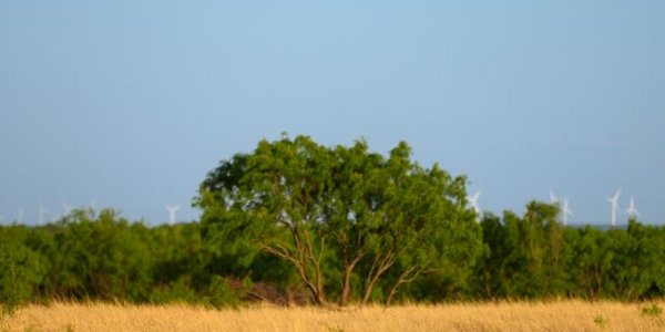 Listing image 109603-0