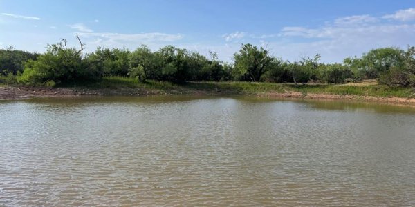 Listing image 110109-0