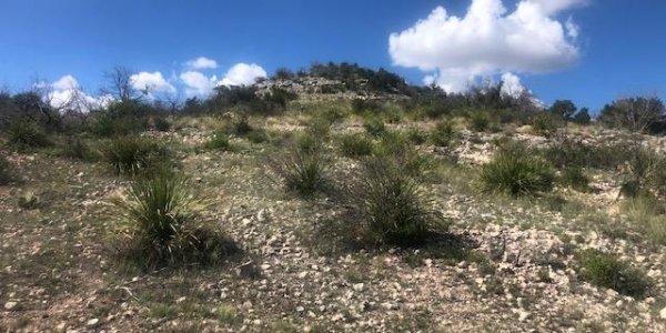Listing image 110784-0