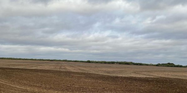 Listing image 111283-0