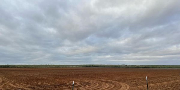 Listing image 111291-0