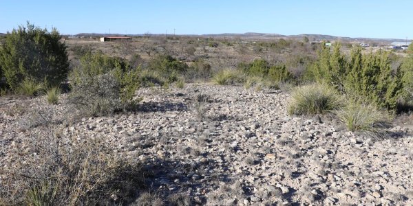 Listing image 111980-0