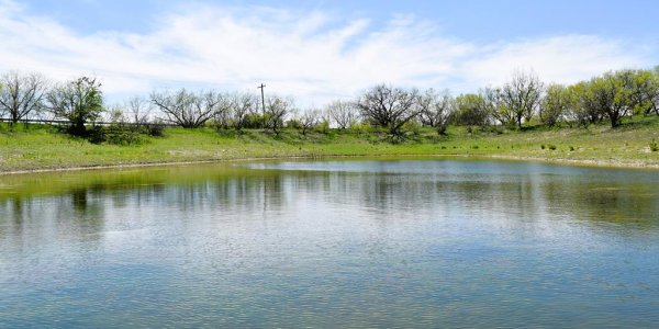 Listing image 112663-0