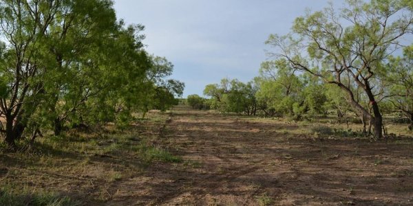 Listing image 112955-0