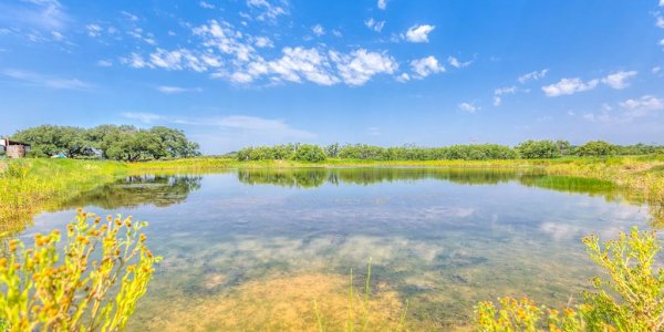 Listing image 113569-0