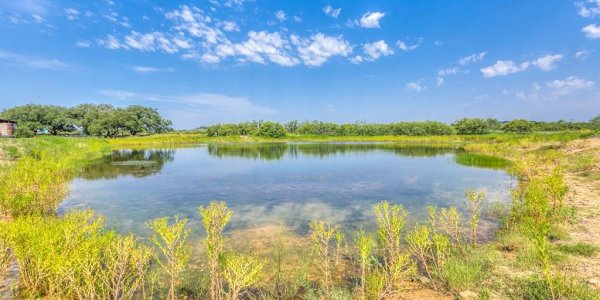 Listing image 113728-0