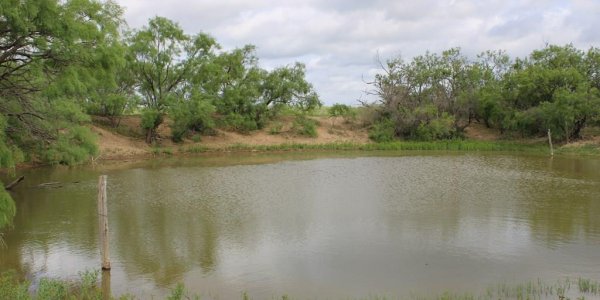 Listing image 113978-0