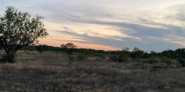 Listing image 115228-0