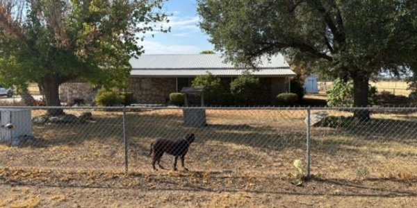 Listing image 115360-0