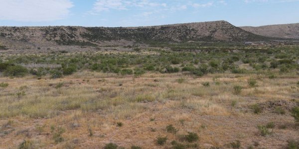 Listing image 115392-0