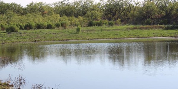 Listing image 116580-0
