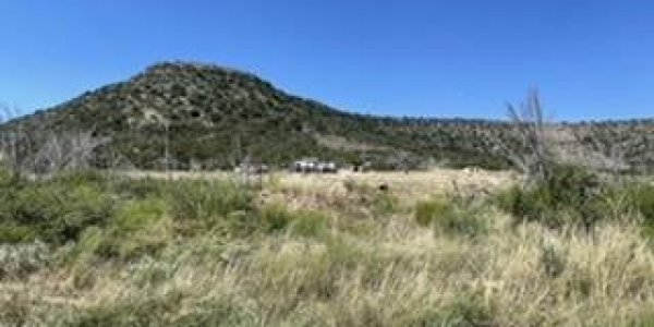 Listing image 116655-0