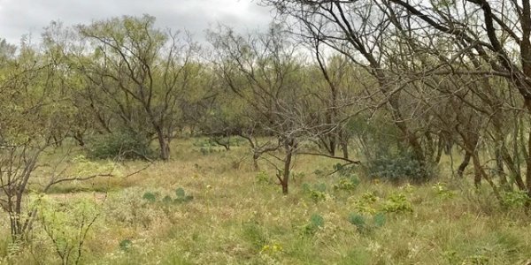 Listing image 118777-0