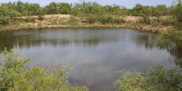 Listing image 118874-0