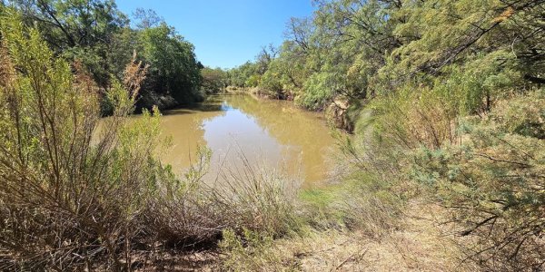 Listing image 119069-0