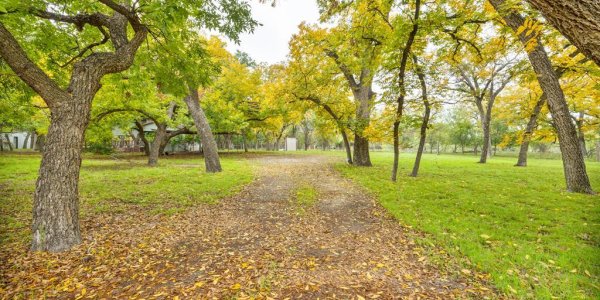 Listing image 119107-0