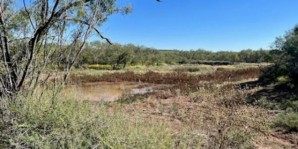 Listing image 119221-0