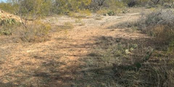 Listing image 119406-0