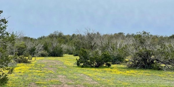 Listing image 119484-0