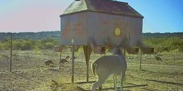 Listing image 119933-0