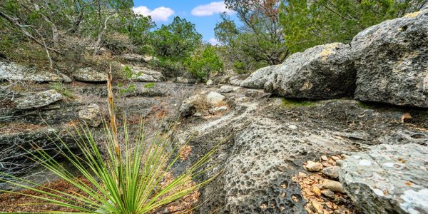Listing image 120129-0