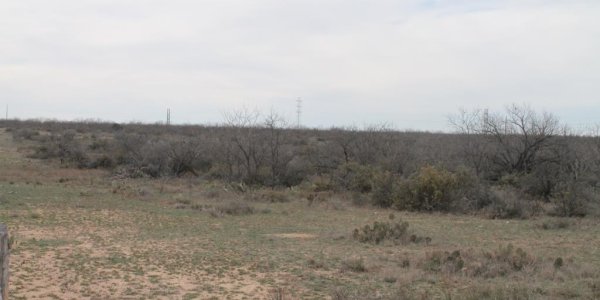 Listing image 120268-0