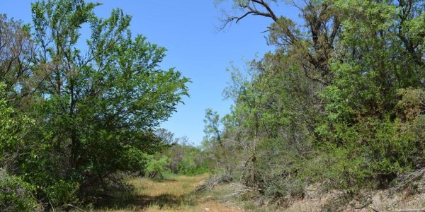 Listing image 121050-0