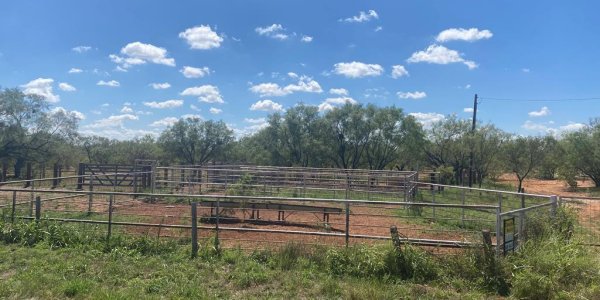Listing image 124550-0