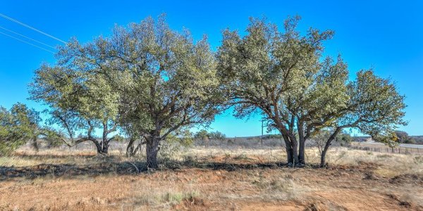 Listing image 125062-0