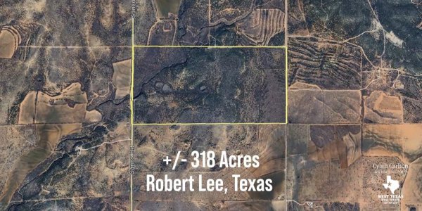 Listing image 126522-0