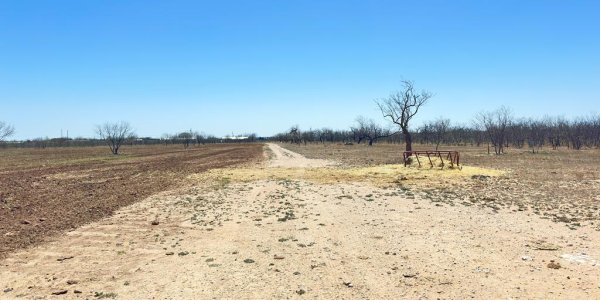 Listing image 126763-0