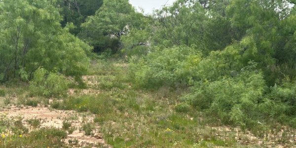 Listing image 127604-0