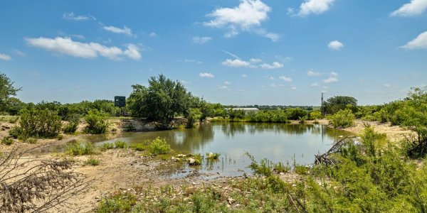 Listing image 127897-0